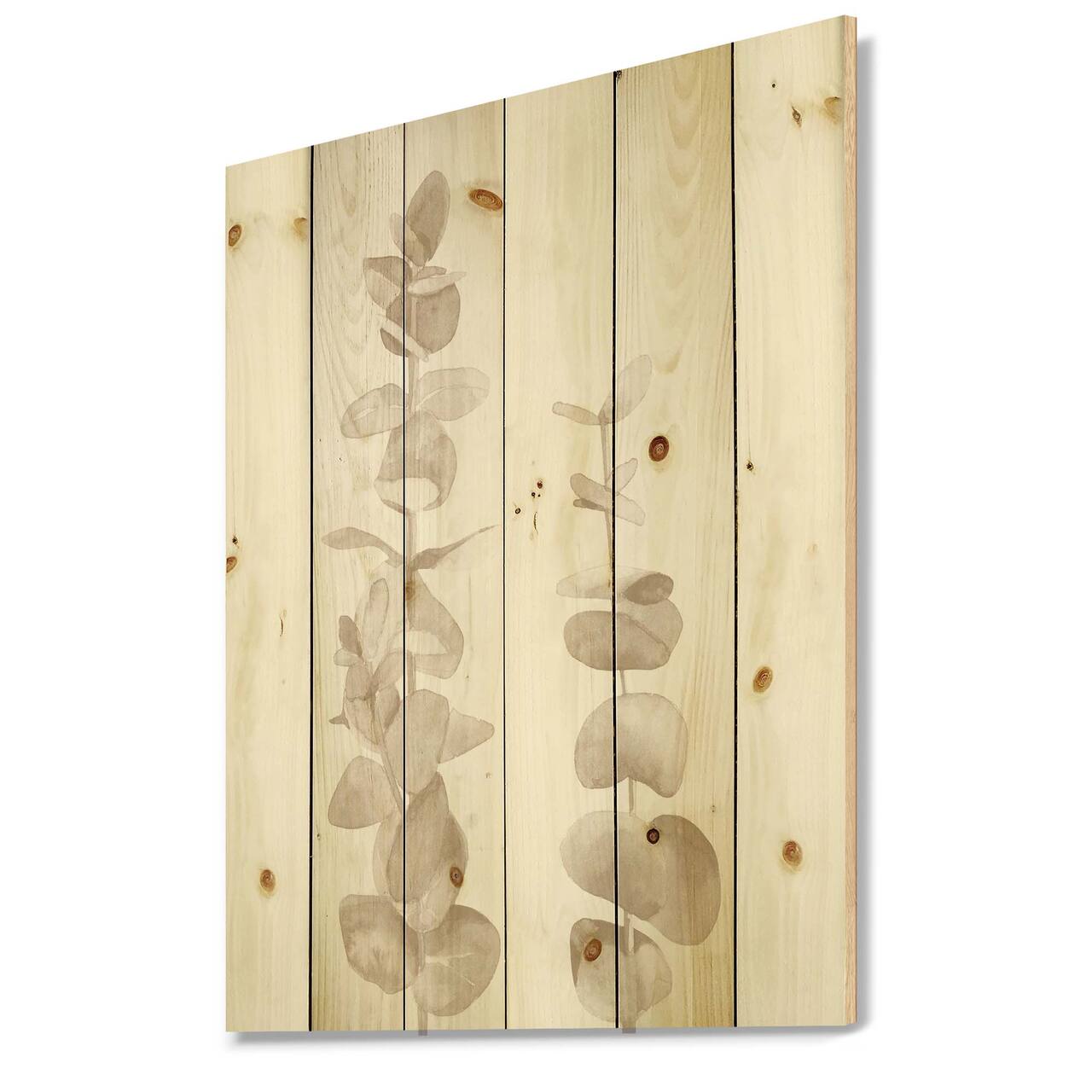 Designart - Beige Eucalyptus Branches On White - Traditional Print on Natural Pine Wood
